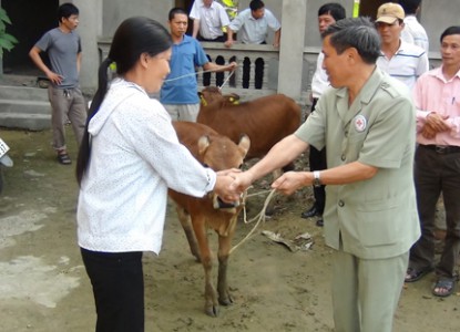 Niềm vui của người dân khi được nhận bò từ Dự án Ngân hàng bò