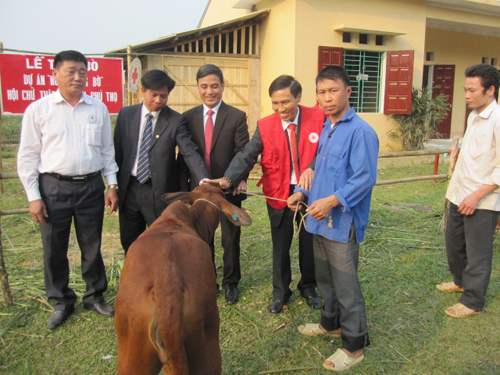 Lãnh đạo Hội CTĐ tỉnh trao bò cho các hộ dân.
