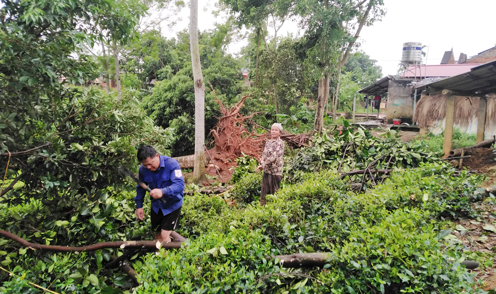 Thanh Sơn, Tân Sơn: Tích cực khắc phục thiệt hại do mưa lốc