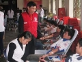 Phong trào Hiến máu tình nguyện tại tỉnh Phú Thọ